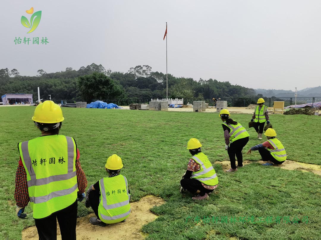 九游會(huì)J9園林綠化公司工人鋪草皮