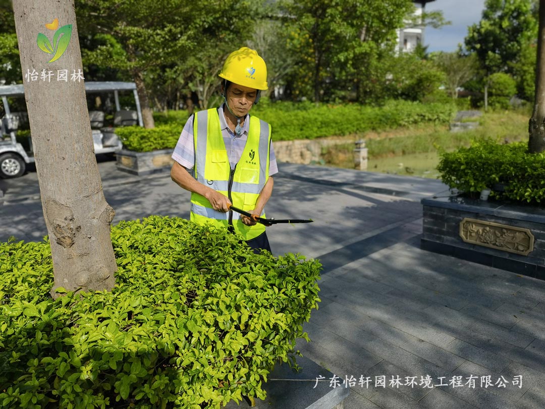 九游會(huì)J9園林綠化公司養(yǎng)護(hù)人員正在修剪