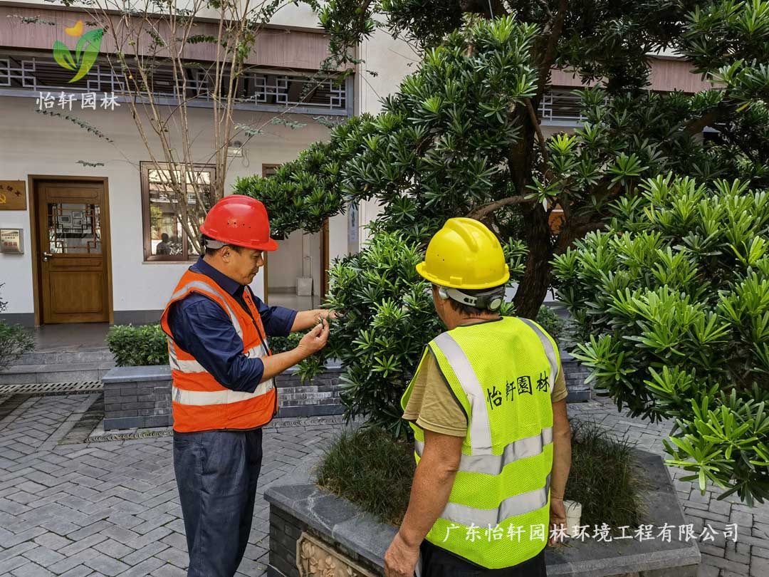 九游會(huì)J9園林綠化公司廠區(qū)綠化養(yǎng)護(hù)指導(dǎo)工作